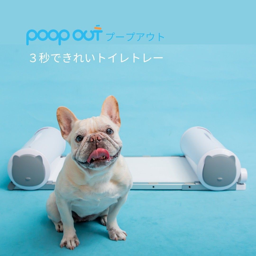 PoopoutJ's tweet photo. 【Poopout3秒できれいトイレトレー】時間がなくてワンちゃんの散歩に行けない時、おうちでも衛生的に排泄物を処理できます!
🐶 3秒できれい、手を使わず清潔
🐶 密封するから臭わない
🐶 超強力な吸水力
#poopout #トイレトレー https://t.co/s2ReylGT2I