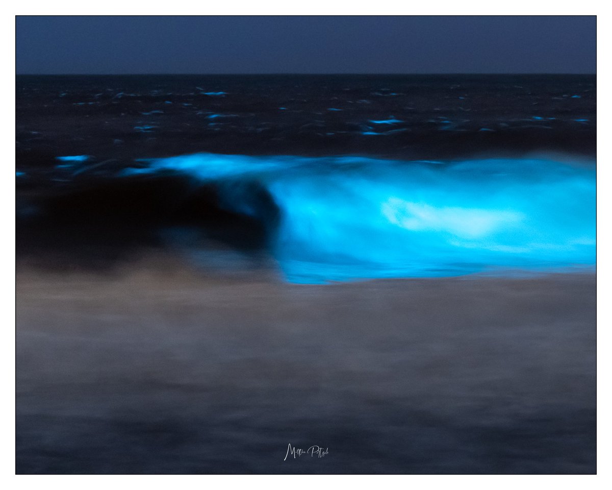 bluecloudphotog's tweet photo. Blue waves in Hermosa beach, California 
#bluewaves #abc7eyewitness #California #beach #bioluminescentwaves https://t.co/BUq6YZOkJQ