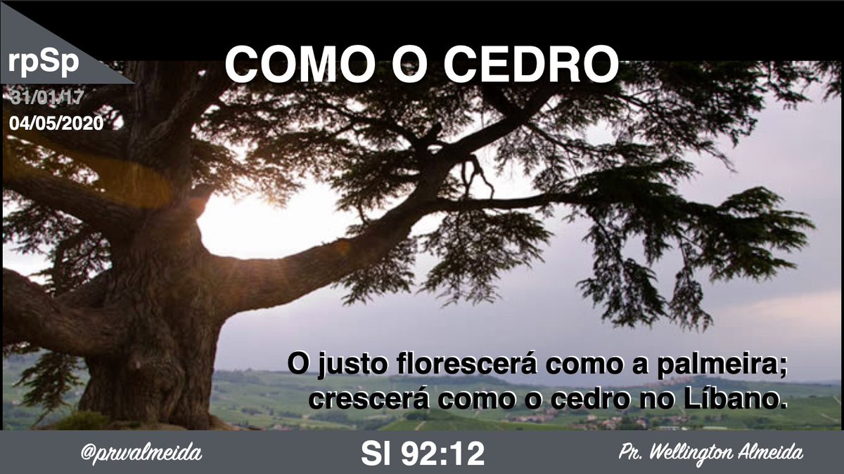 prwalmeida's tweet photo. #Sl92| Falai de fé. Mantende-vos ao lado de Deus. Não ponhais o pé no lado do inimigo, e o Senhor será o vosso Ajudador. Ele fará por vós aquilo que vos não é possível fazer por vós mesmos. O resultado será que vos tornareis como um "cedro do Líbano". (MJ, 153). #PrimeiroDeus https://t.co/SElCIz79Jh