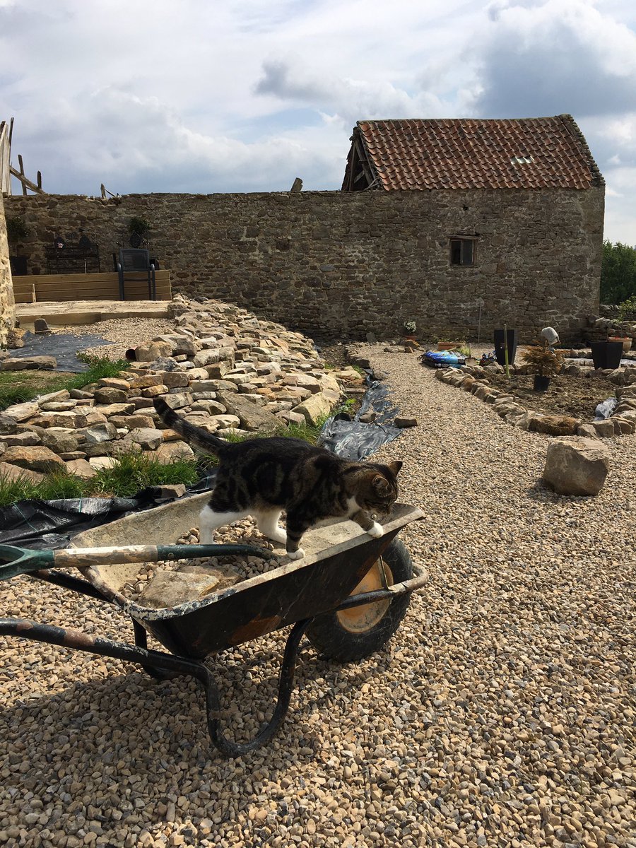 DawnBoothWilson's tweet photo. @TEGmagazine We have created a whole garden in the past few weeks! From overgrown weeds, rocks and rubble to garden! So enjoyed it and something really positive has come out of this lockdown. Insta #therenovationgame https://t.co/41Vg7xrcP5