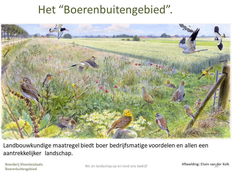 Met mijn #akkernatuur laat ik zien dat #gangbare-akkerbouw geen ‘dooie boel’ is. Toegegeven, er zijn grote verschillen, veelal terug te voeren op intrinsieke motivatie vd boer.
Er is nu al op grote schaal verbetering mogelijk! #Stimuleer #natuurinclusief! #Samenvoorbiodiversiteit