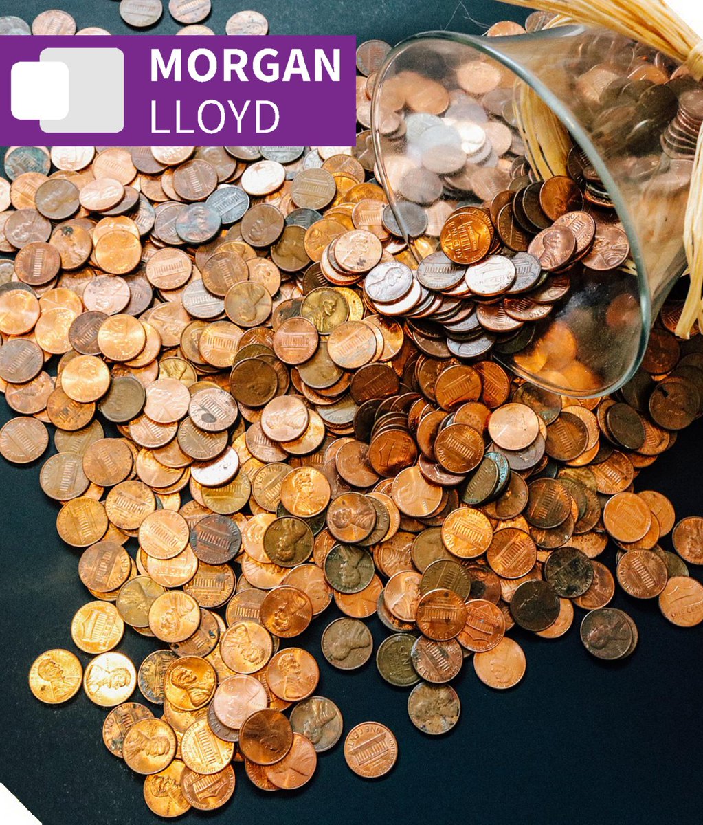 Morgan Lloyd tweet media