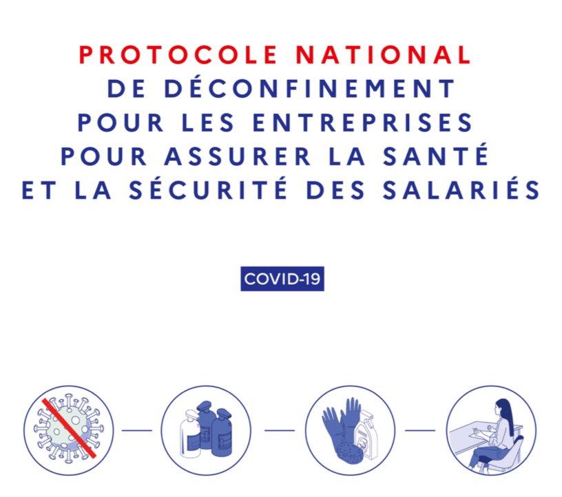 #COVID19 #Economie 

Afin d'assurer la santé et la sécurité des salariés, le @Minist_Travail publie un protocole national de déconfinement pour les #entreprises.

Retrouvez toutes les infos ⤵️
rhone.gouv.fr/Actualites/Pro…