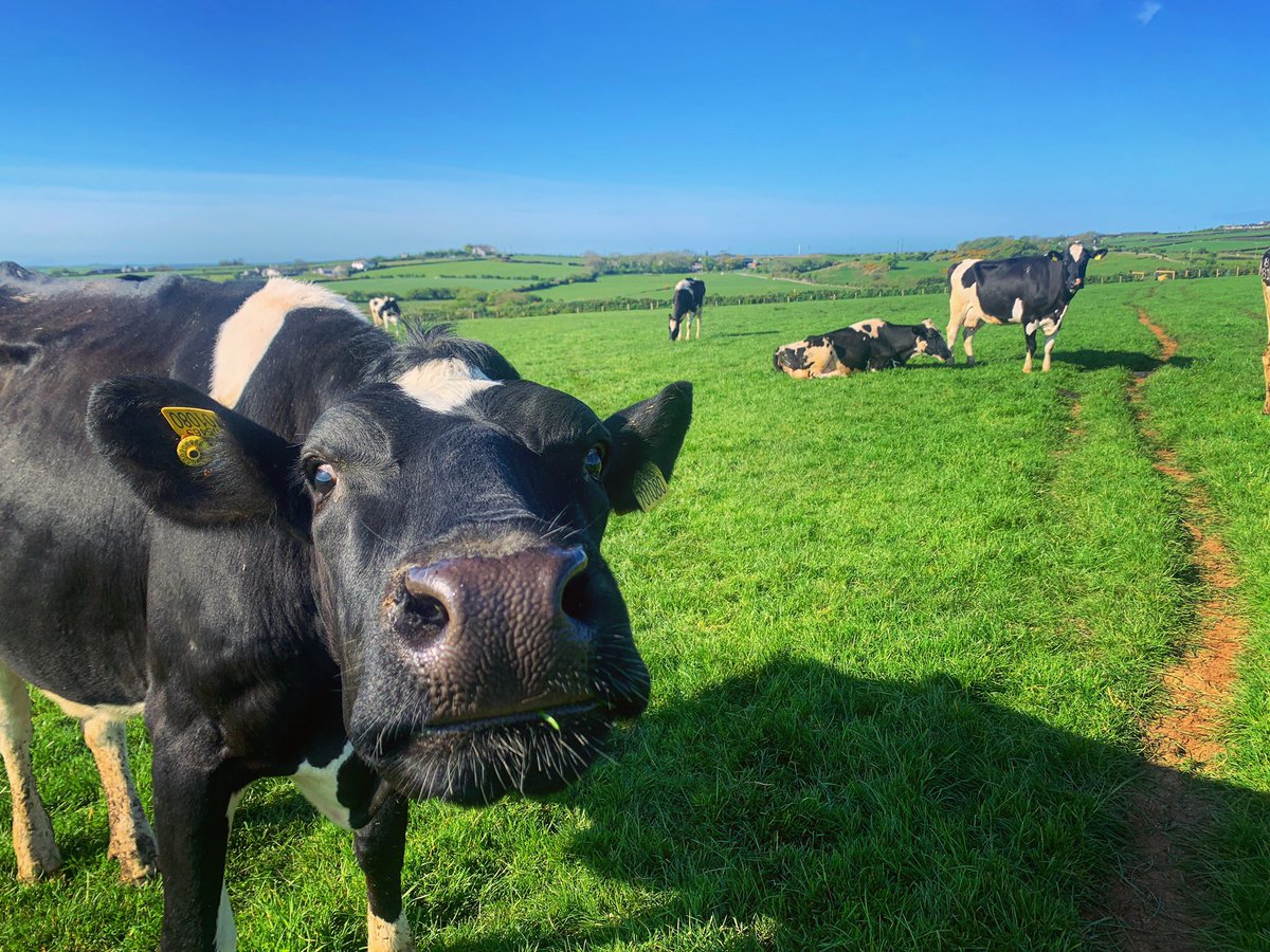 Caitlin Jones tweet media