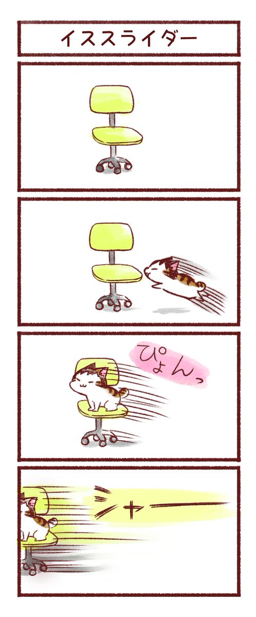 我が家のお猫さま⑤ 
