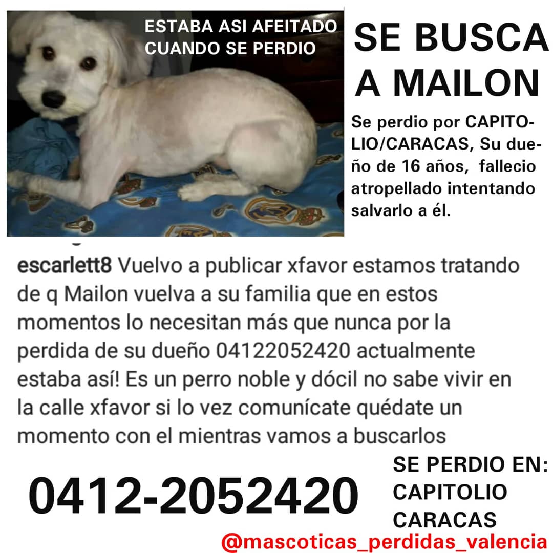SalvandoPatitas's tweet photo. https://t.co/4HSAhj7340
