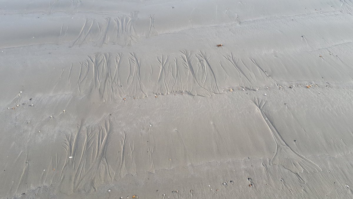 Gamb0's tweet photo. Dancing in the sand #dailywalk #Penzance #SandWaves https://t.co/HsNa2T5XkT