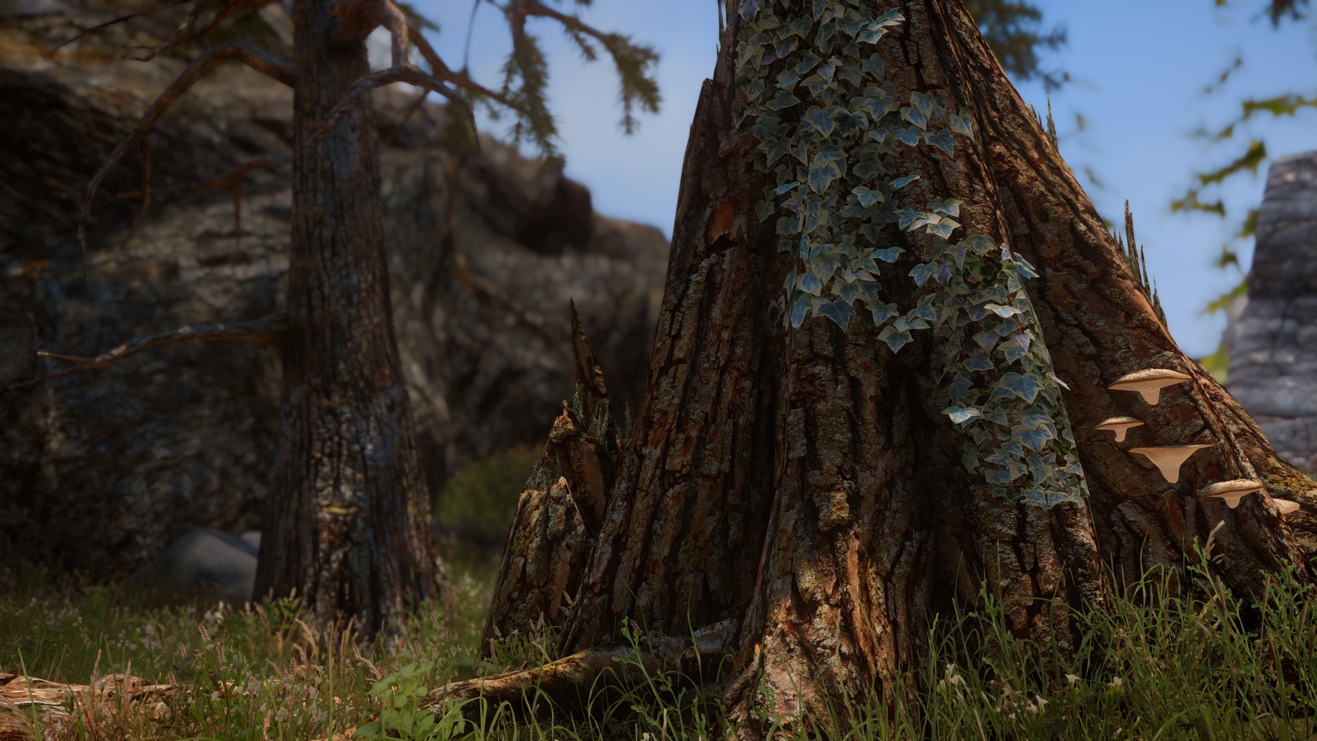 まつ吉 実況 塗装屋モデラー ゲーム垢 Ar Twitter Skyrim スカイリム スカイリムse Enbのver アップでプリセットまんまだけどいい感じに変化した 風景綺麗すぎだ W T Co 0hhu5qrmze Twitter