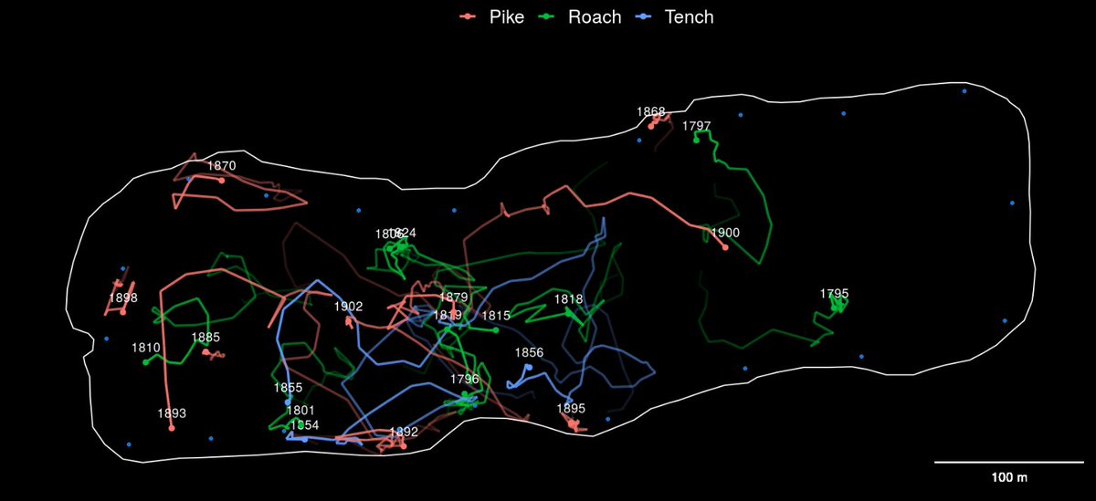 On-the-fly track estimation of tagged fish using YAPS. Check out prototype and details at baktoft.shinyapps.io/yapslive/

#animaltracking #animalmovement #acousticTelemetry #TrackingNotSlacking #FishTelemetry @PDJF_dk