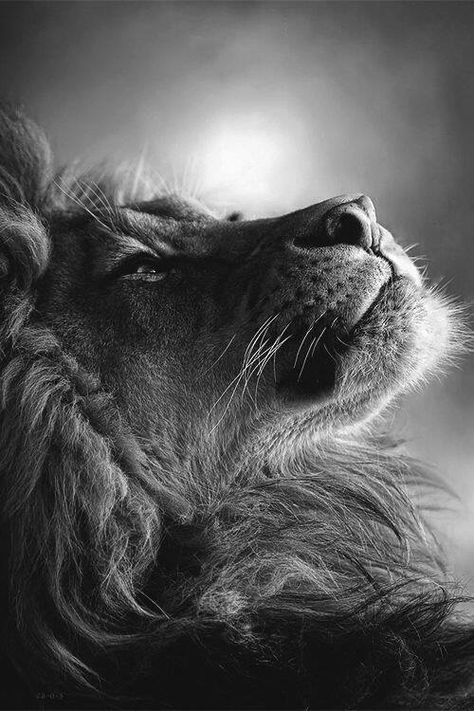 MorganElMago's tweet photo. #BuenosDiasATodos
#ElPulsoDeLaVida
Hemos sido puestos aquí
para aprender lecciones que
nos convertirán en almas más
completas.
#EricPearl
#ViveComoPiensas
#HoyTambienMeAcordeDeTi https://t.co/Oq5QHdc8c6