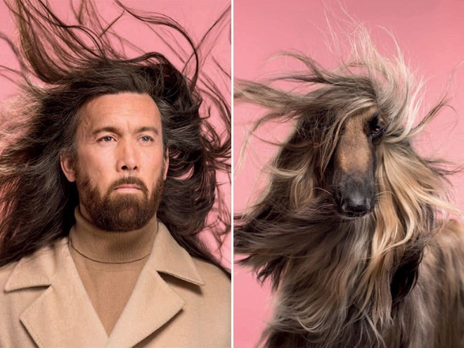 Guac_Amore's tweet photo. @Bimon Soll deine Frisur nun besser zu Pöddel passen? Werden die bald blondiert? #hairmatchingdog https://t.co/leYzDwguLY