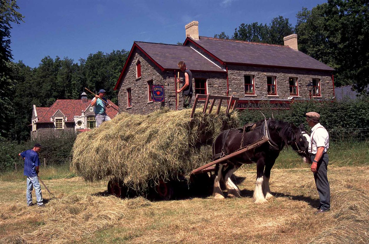 Harvesting hay at the Museum on a glorious summer’s day, nearly a quarter of a century ago, in July 1996. The Gwalia Stores and Oakdale Workmen’s Institute can be seen in the background. #MuseumFromHome