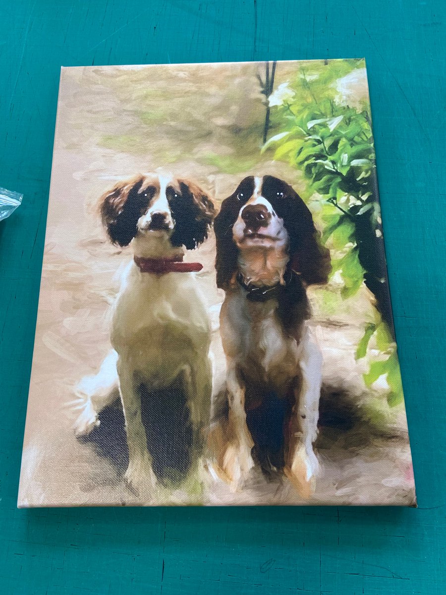 kaizenprint's tweet image. How cute are these two pooches! Order your canvas prints kaizenprint.co.uk/canvas-printing. The perfect gift for a love one or renovating your home! #kaizenprint #whatsprinting