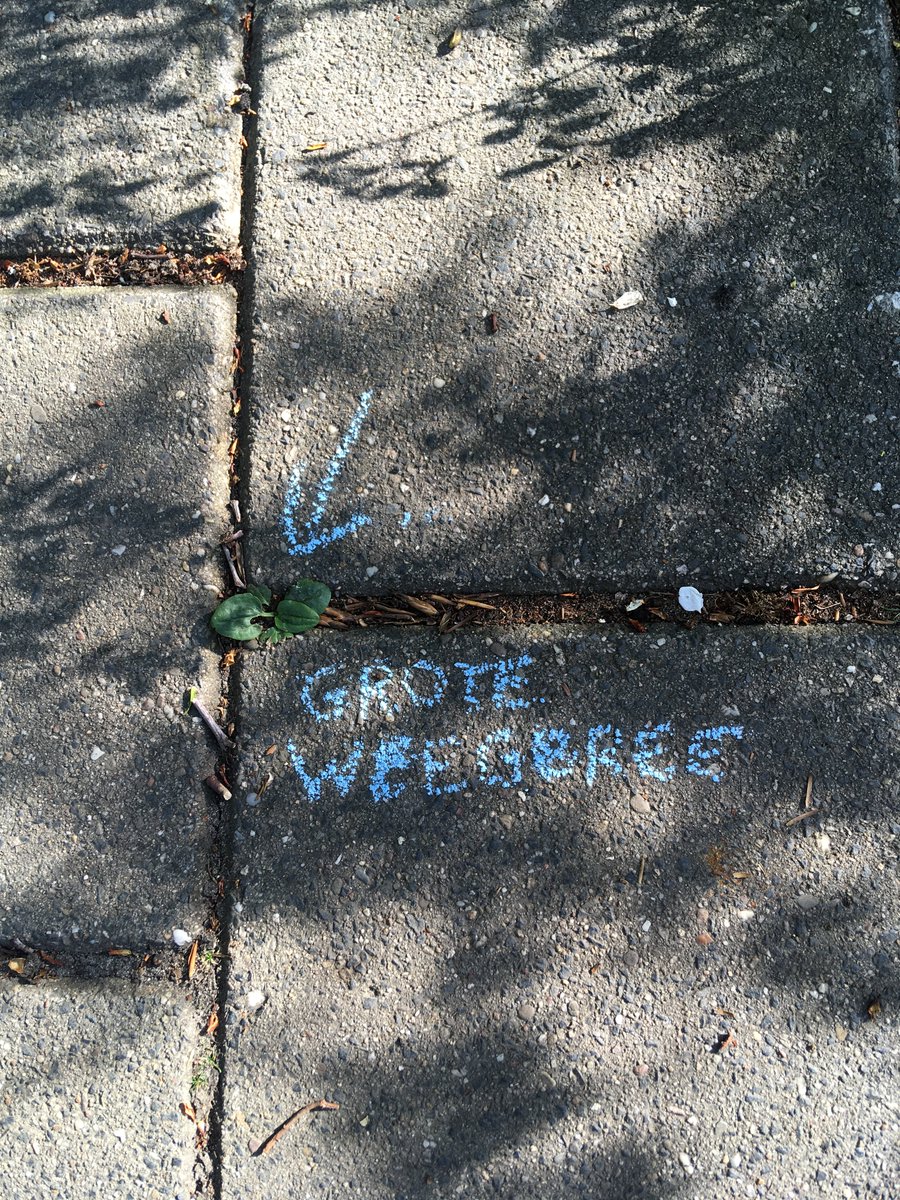 Doe jij ook al aan 'botanical chalking'? Met krijt de naam bij het stoepplantje schrijven in is Engeland en Frankrijk al een ware trend. Lees er hier meer over: bit.ly/2W0ZLZO #stoepplantjes