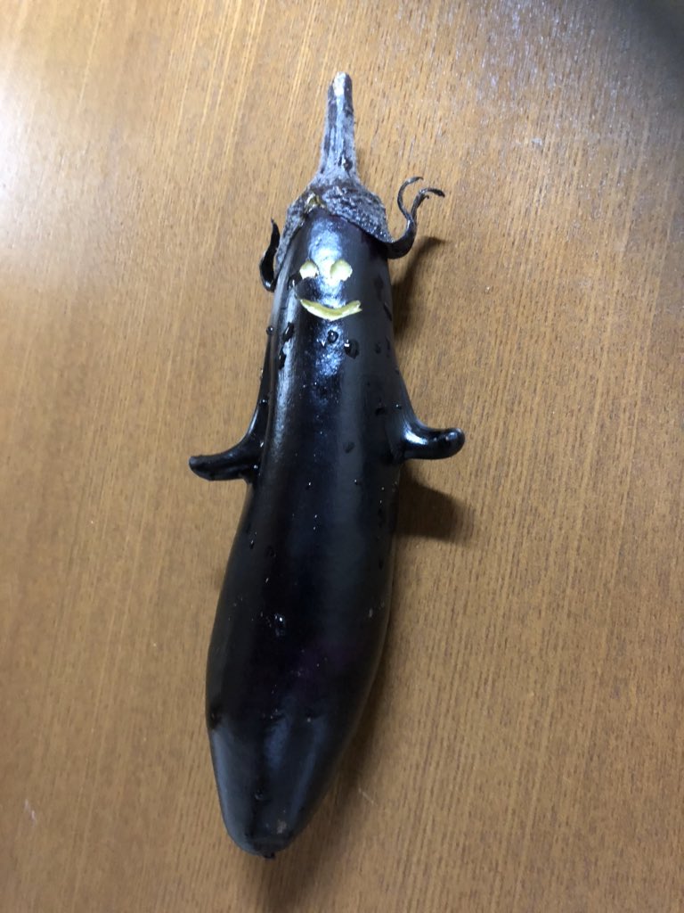 鼻 が二本あるナスが ㅂ و ｸﾞｯとガッツポーズをしているようでとてもかわいい かわいいし美味しそう 他のかわいい形のナスが集まる Togetter