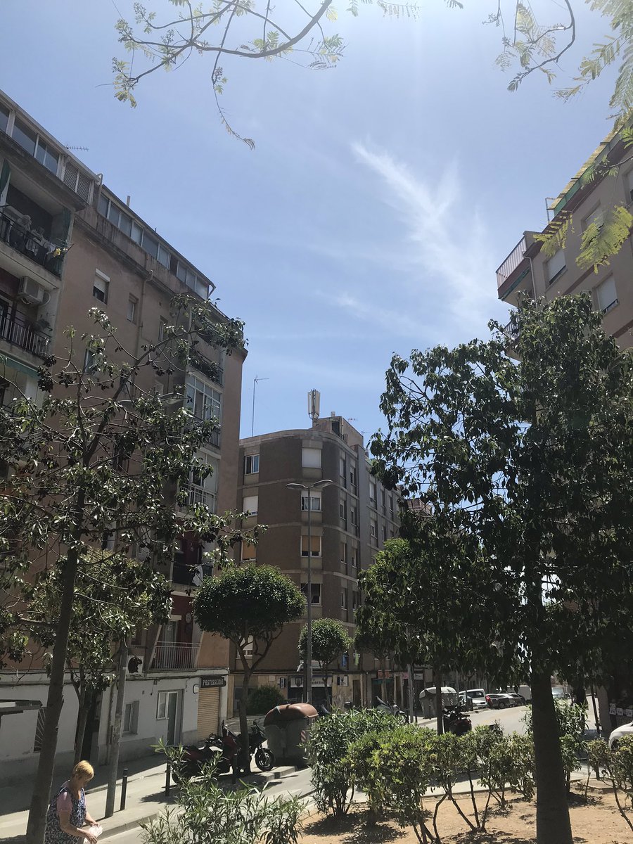 LA FIERA tweet media