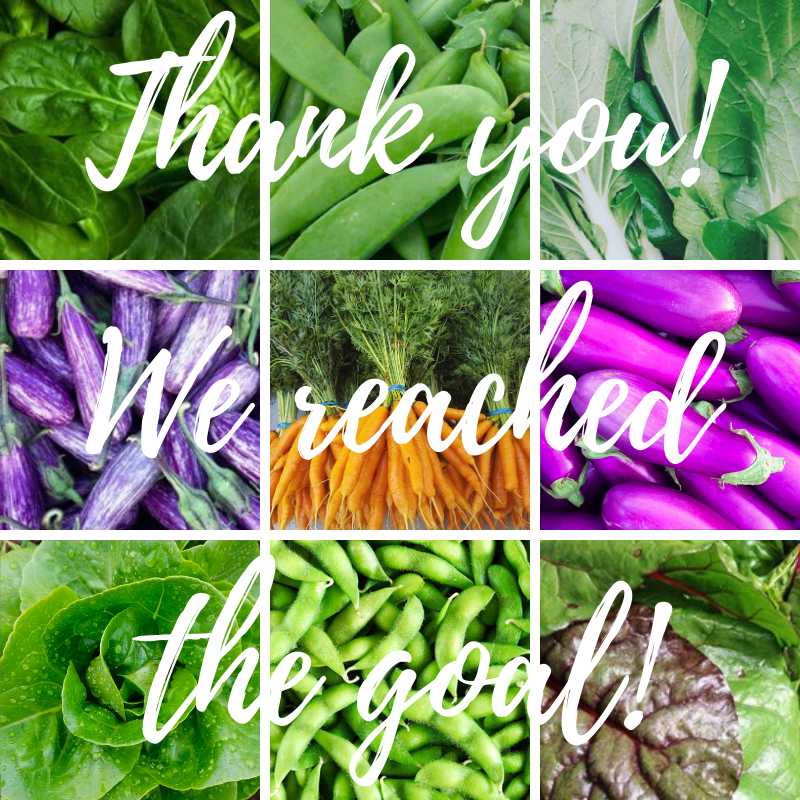 healthyplaneat's tweet photo. Thank you to everyone who contributed to the @healthyplaneat @Indiegogo crowdfunding campaign! We reached our goal because of you! https://t.co/kHmbyTNxhR