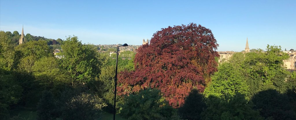 Keith Bowers tweet media