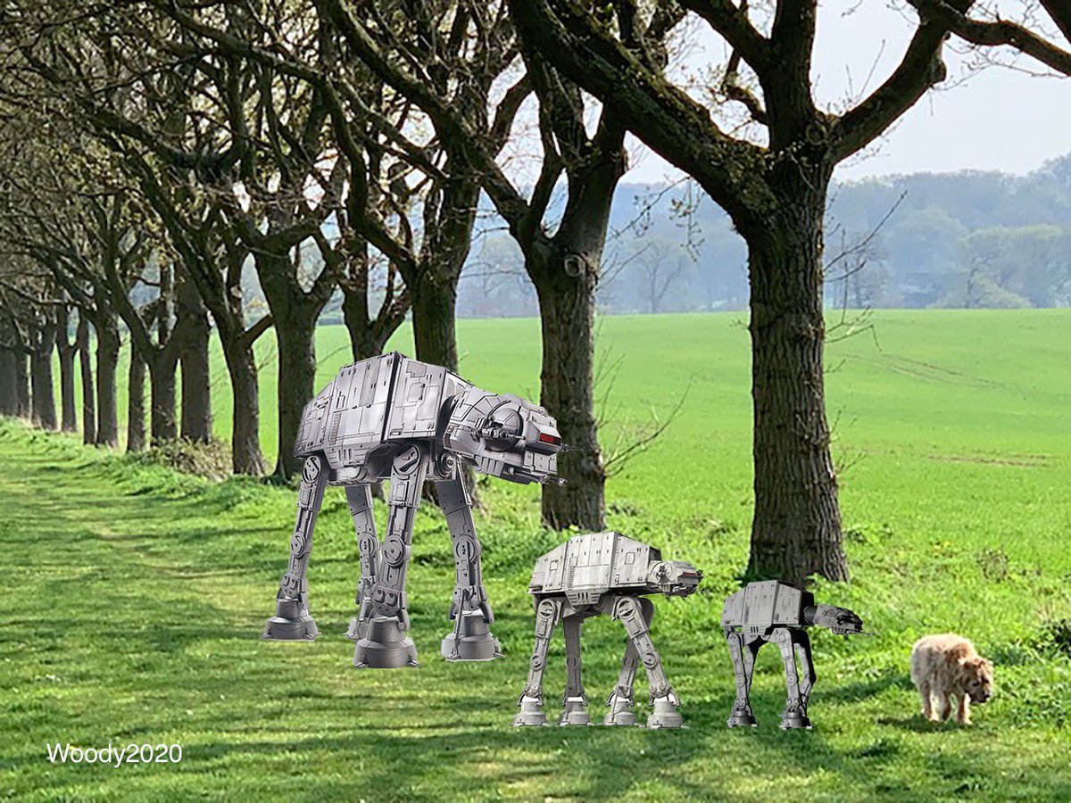 Woody leading the AT-ATs  #MayThe4thBeWithYou  #StarWarsDay  #borderterrior <a href="/SidewalkDog/">Sidewalk Dog Media</a>