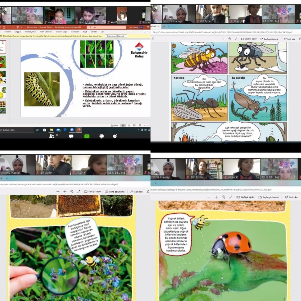 delibas_esin's tweet image. Uzaktan Eğitim 7.Hafta 1.Gün ders zili çaldı.Anaokulu öğrencilerimiz ile online sınıfta buluştuk.Öğrencilerimizin akademik süreçlerini uzaktan eğitimle desteklerken online buluşmalar ile de sosyal ve duygusal durumlarını takip ediyoruz. #arılar #kelebekler
#böcekler