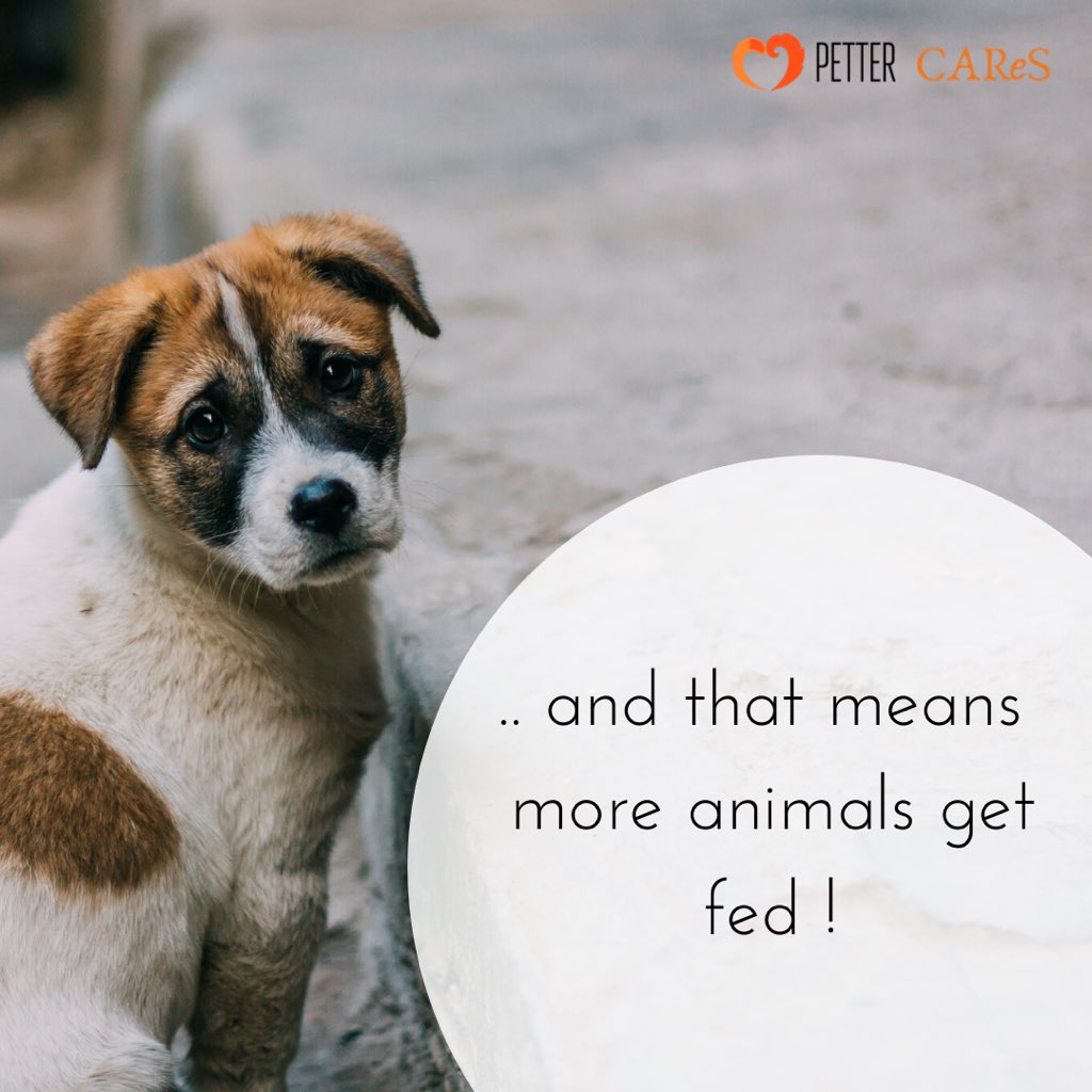 Petter_in's tweet photo. To all the #feeders who have been braving the lockdowns and helping the #animals #Respect !! Hope the  #community animal feeding tool helps you expand your reach and care for more animals ! Log on to https://t.co/RsEWV14oSC to add the locations you feed and mark your pins ! https://t.co/sqorvywPxf