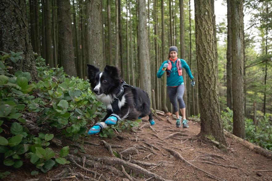 StyliDog's tweet image. Les Chaussures pour chiens sportifs 🏁🐾
.
#chien #chiens #amourdechien #chienheureux  #petitchien #chiots #pets #puppylove #doglife #blog #mode  #styledogs #bloggers #photodujour #picoftheday #dogfashion #dogclothes
