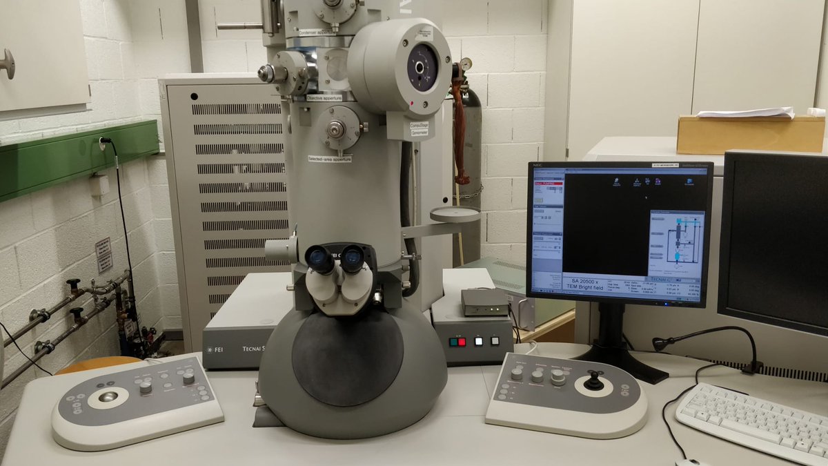 Electron Microscopy Facility UNIL Lausanne tweet media