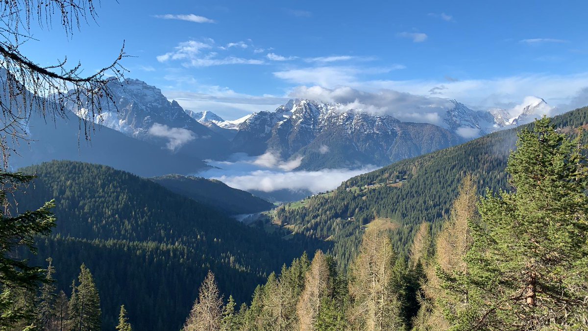 dolomiti@valcomelico.it tweet media