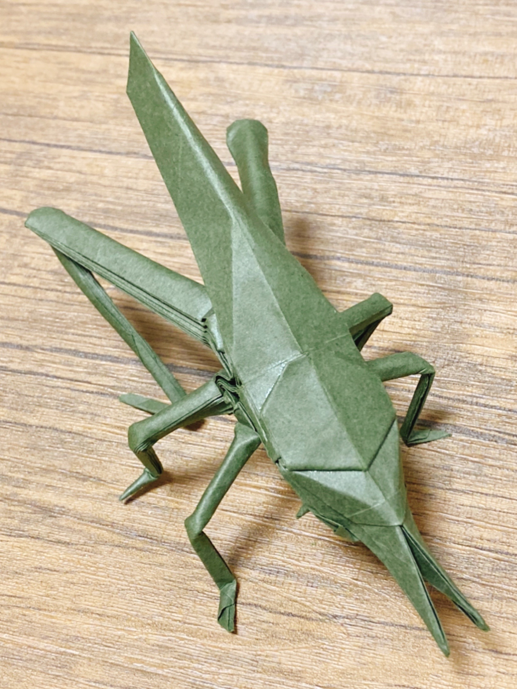 Masato 今日の折り紙 神谷哲史氏の ショウリョウバッタ 昆虫系の折り紙は難しいねぇ T Co Mf2n58scnv Twitter