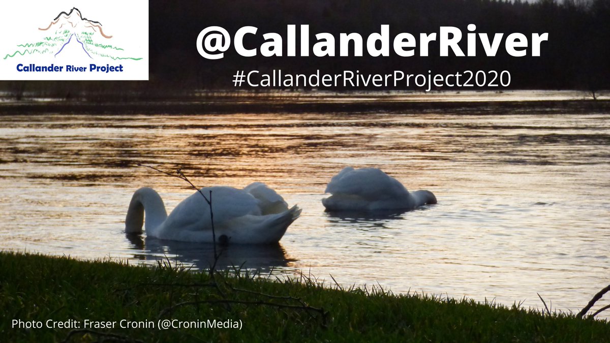 CallanderRiver's tweet image. During #lockdown down @ForthRiversT and @BenLediView are asking for your help! Using the link bellow we are asking for anyone who is near the #RiverTeith in #Callander @lomondtrossachs to *Safely* record any wildlife, on or near the river.

forms.gle/XsrAxPZmumHuBG…

Pls RT