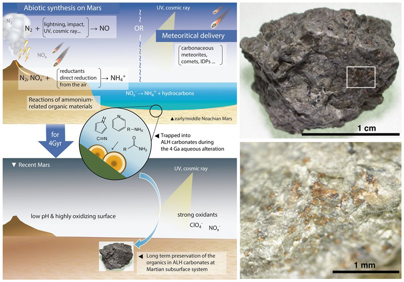 mediainaf's tweet photo. La #meteorite Allan Hills svela la storia di #Marte: un team di scienziati guidati da Mizuho Koike della #Jaxa, l’agenzia spaziale giapponese, ha trovato #composti #organici contenenti #azoto in minerali carbonatici https://t.co/w4k3l5RGtQ @NatureComms @ISAS_JAXA @ELSI_origins https://t.co/riB0RPF9iU