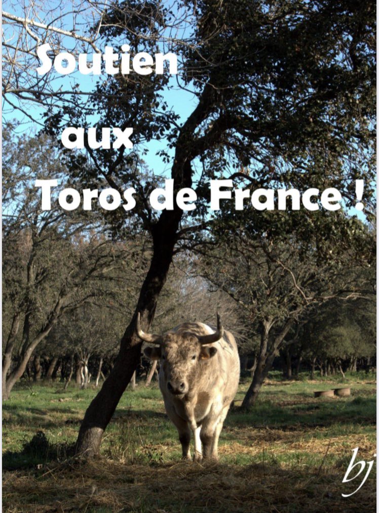 Mateo Largaespada tweet media