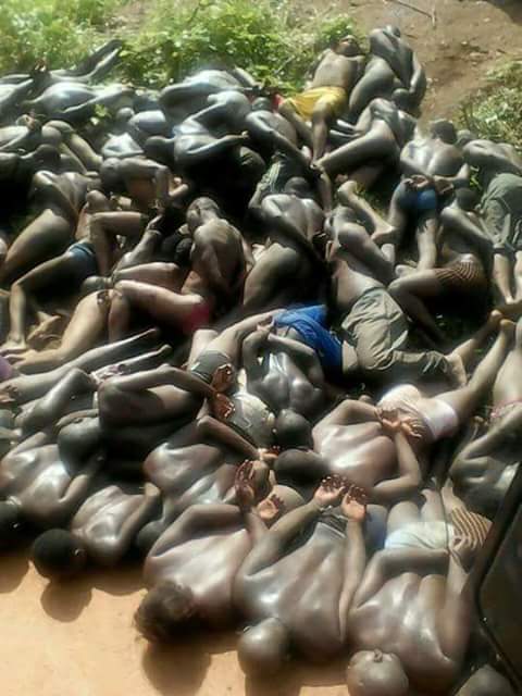 munassingo's tweet photo. @nyamadon @nyamadon you know the Museveni has nothing to add on Uganda instead torturing and killing innocent Ugandans https://t.co/QTGAac0KF3