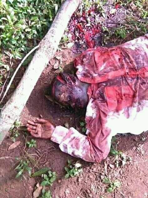 munassingo's tweet photo. @nyamadon @nyamadon you know the Museveni has nothing to add on Uganda instead torturing and killing innocent Ugandans https://t.co/QTGAac0KF3