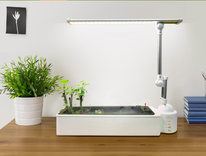 opcomfarm's tweet photo. 💗 O2 Garden mist LED table lamp  
w/microgreens  
Healing the soul and nourishing the lungs healthy green garden https://t.co/4Zb0lafZ2x
