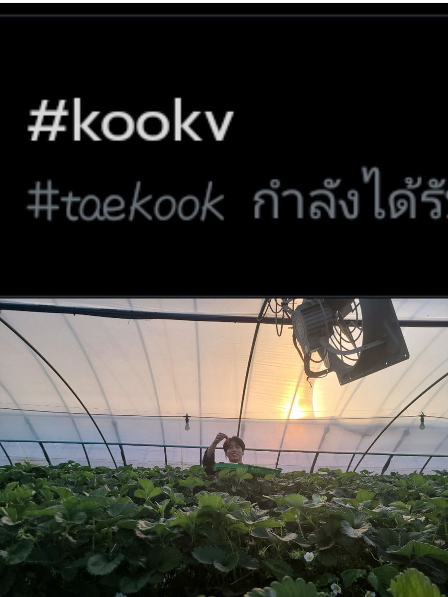 มัมหมีน้อนทาที 𐤀 'ʟᴀʏᴏ(ꪜ)ᴇʀ⁷ | tweet media
