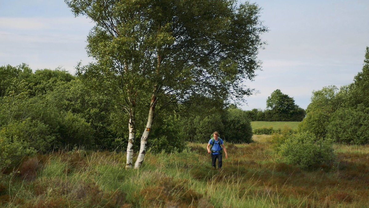 toughsoles's tweet photo. New video!
A 3 Minute Trail overview of the Hymany Way, a 90km trail that we walked over 5 days through Roscommon and east Galway, finishing in Portumna #toughsoles 
https://t.co/cYCL6dRCxb https://t.co/PPQa91To4q