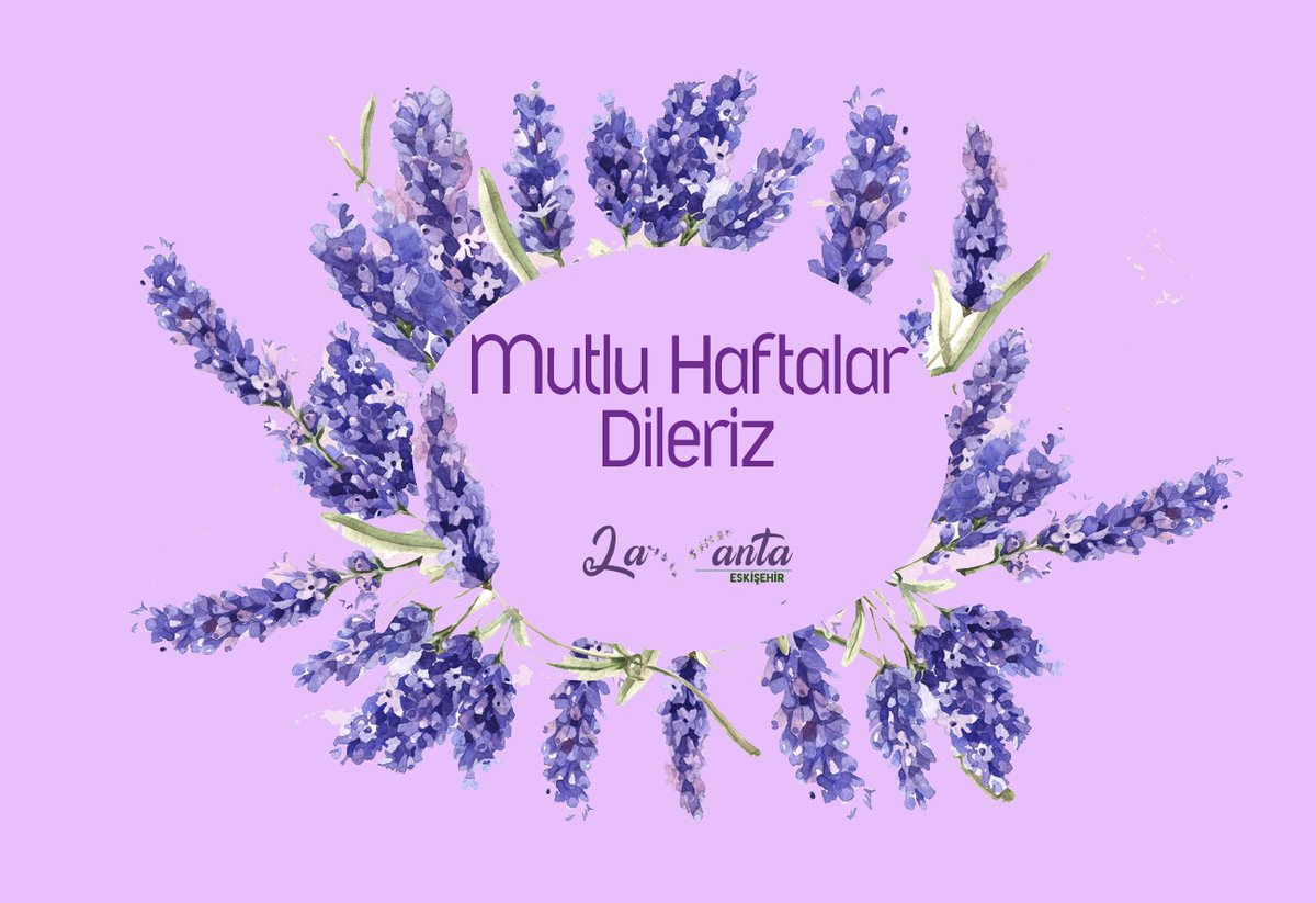 #teşekkürler #eskişehir #eskişehirlavantabahçesi #lavanta #levander #lavantaeskişehir #eslavanta #lavantaes #lavantaaşkı #lavantasehri #celalpetrol #celalpetrolurunleri #lavantabahce #bahcelavanta #lavantabahcesi