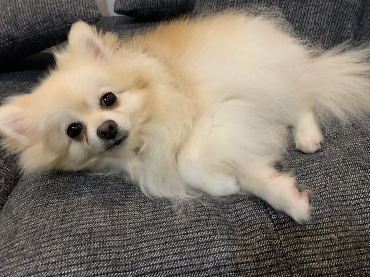 濱田菜々 Gran Ciel わんわんかわいいでしょ