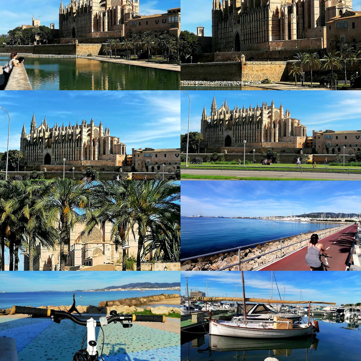 Privateguidemca's tweet photo. Ready to guide you again, discover Mallorca 2020, #WeWillGuideYouAgain .
Todo listo para volver a guiarte, descubre Mallorca 2020 #VolveremosAGuiarte https://t.co/3SrPCs1dKk