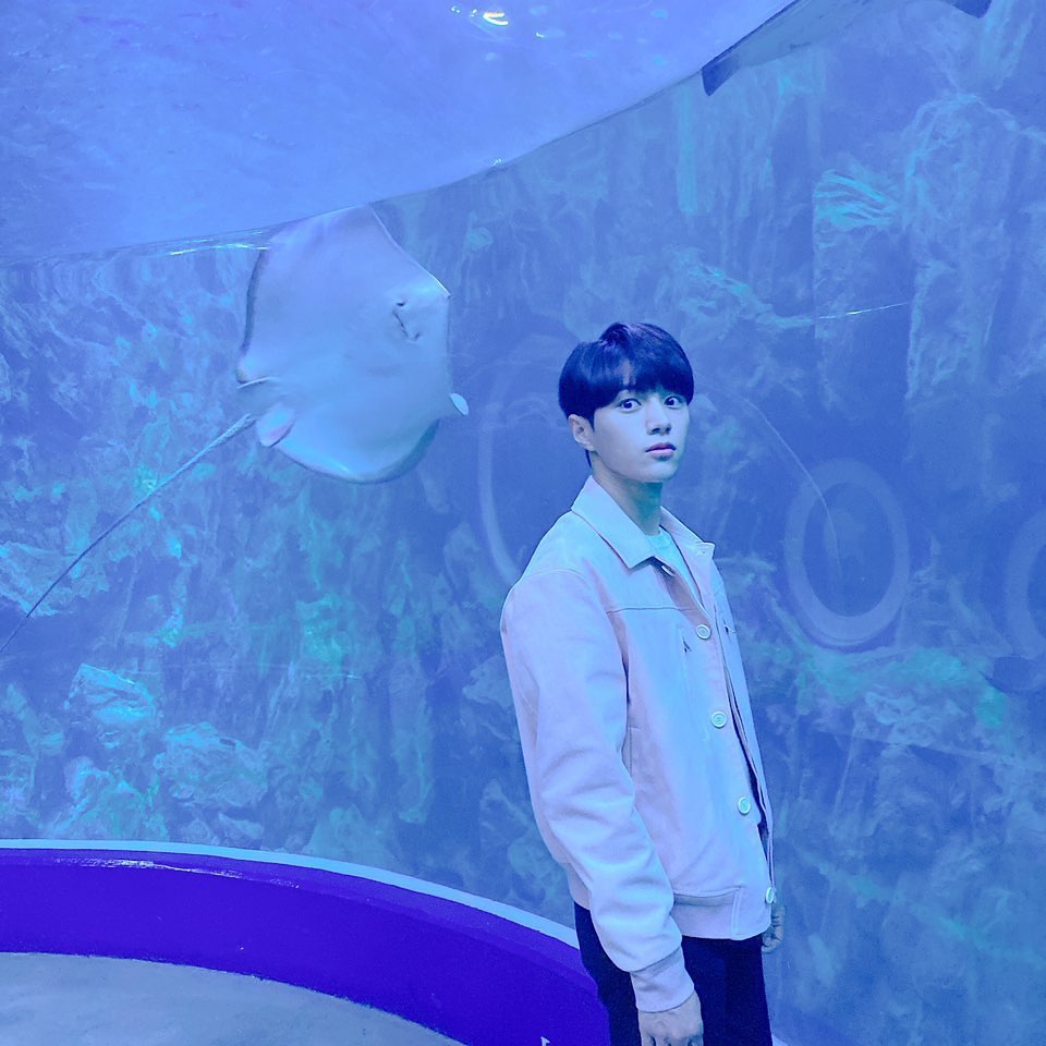 lkimchina's tweet photo. 💕 https://t.co/tulDaZCsr2
