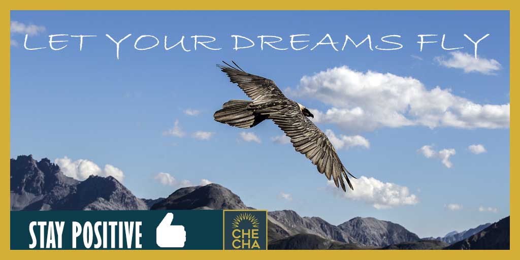 MathisFood's tweet photo. MONDAY MORNING THOUGHTS 🤔😄😎

#placetobe #gourmet #foodporn #checha #checharestaurantandclub #retomathis #engadinstmoritz #enjoystmoritz #switzerland

Bearded vulture - Swiss National Park - Engadin
© ENGADIN St. Moritz - https://t.co/0wAuiFKr7g Badrutt https://t.co/PbI4YENlYg