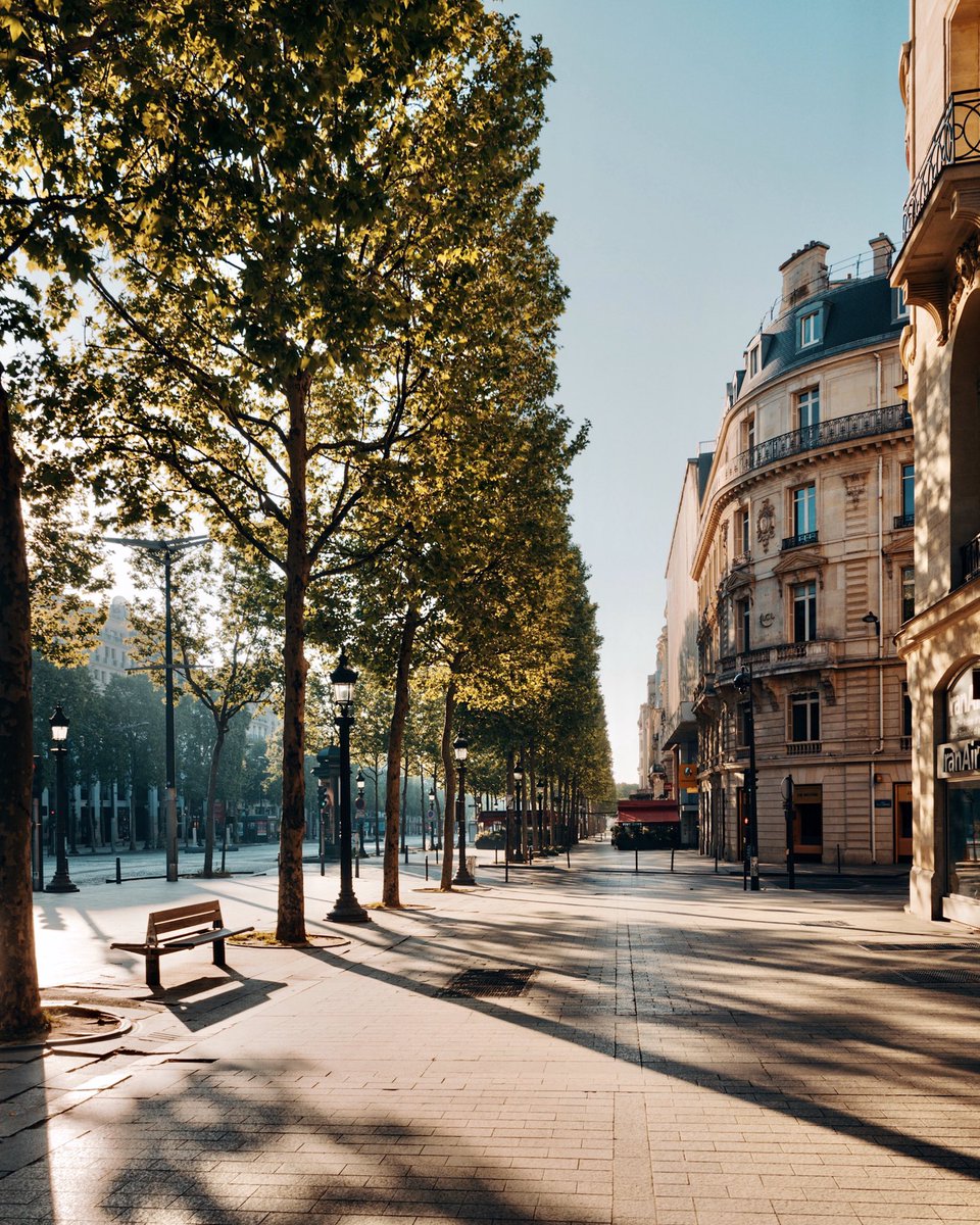Capra_311's tweet photo. Les #Champselysees #confinés / #paris #confinement #lockdown #empty #emptyparis #arcdetriomphe https://t.co/8eEfKiiRkB