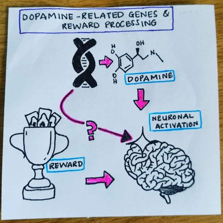 SUpsychgenetics's tweet photo. #postitnoteproject by Aqeedah Roomaney (MSc student) - the role of #dopamine-related genetic variants on reward-related neuronal activity #postitnotephd https://t.co/oeknCnmbU0