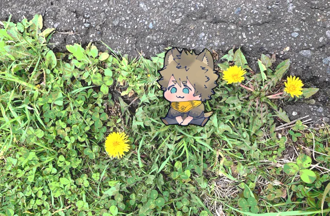 タンポポ咲いてたな〜 