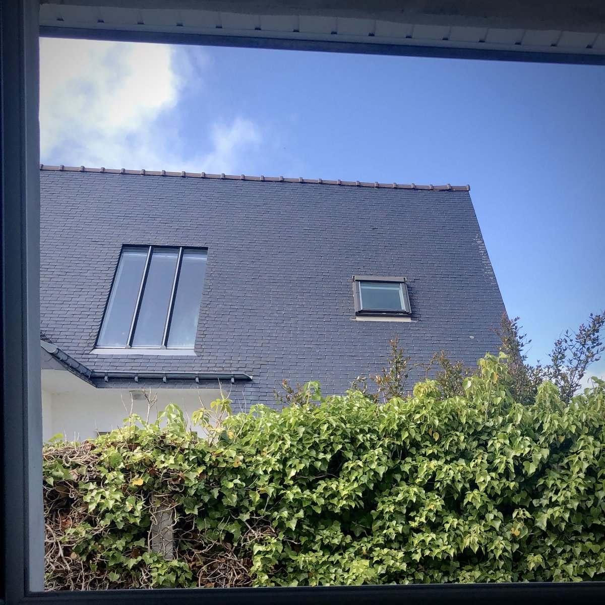 Le journal d’un confinaute #jour49 
#blueagain

#confinement #covid19fr #ConfinementJour49