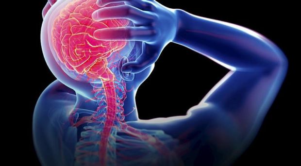 Chronicmeet's tweet photo. A novel treatment for chronic pain was developed, that does not affect the general neuronal signaling, but only affects the nerve changes that are caused by the disease - https://t.co/KyKWjyWbuL

#chronicillness #chronicpain #Researchers #COVIDー19 https://t.co/vLtB4ro34O