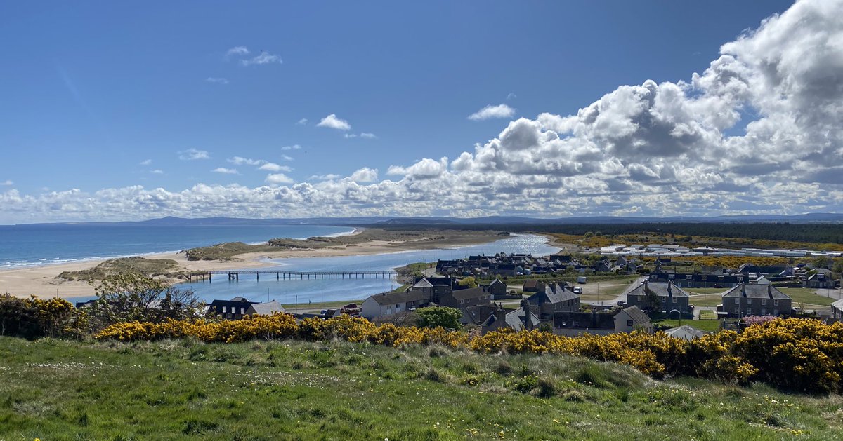 Jamie Halls tweet media