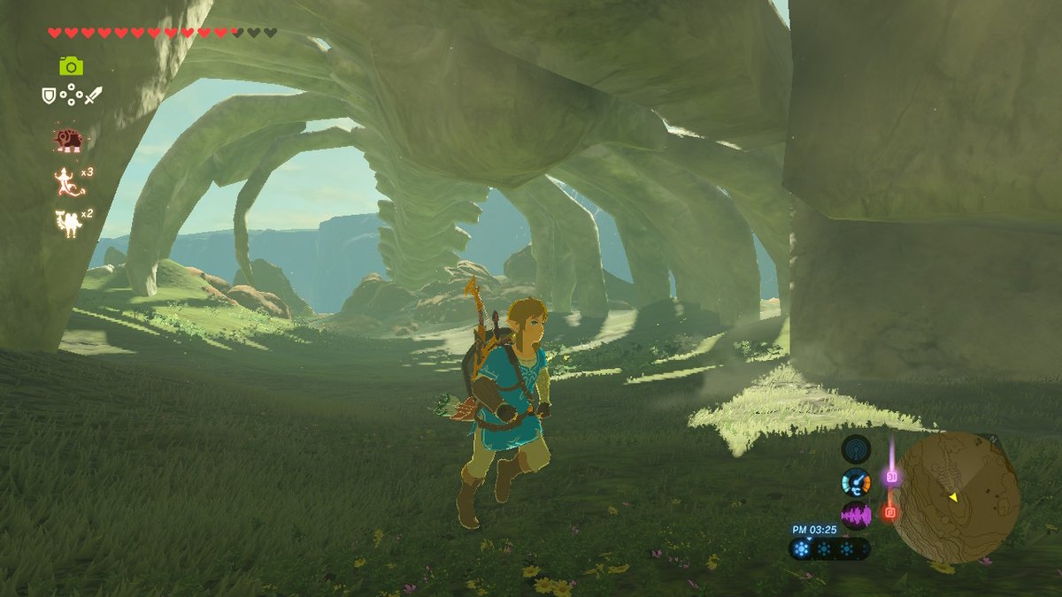 ソルティーさやか On Twitter 巨大クジラの骨 ゼルダの伝説 Breathofthewild Nintendoswitch Https T Co 81uu6epjnv Twitter