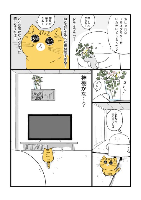 こないだに引き続きインテリアねたです 